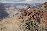 Grand Canyon 08